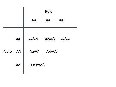 aA